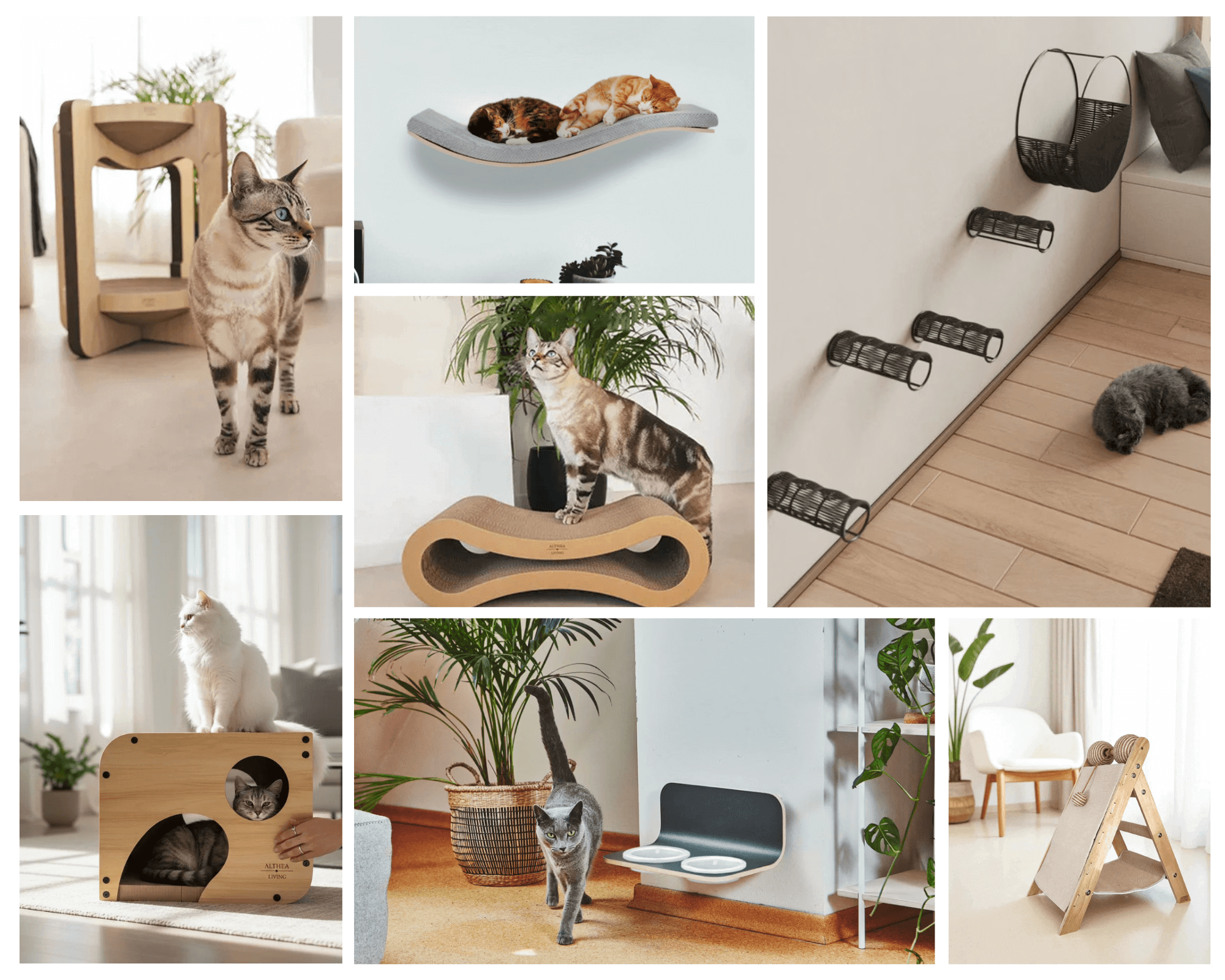 Althead Living banner