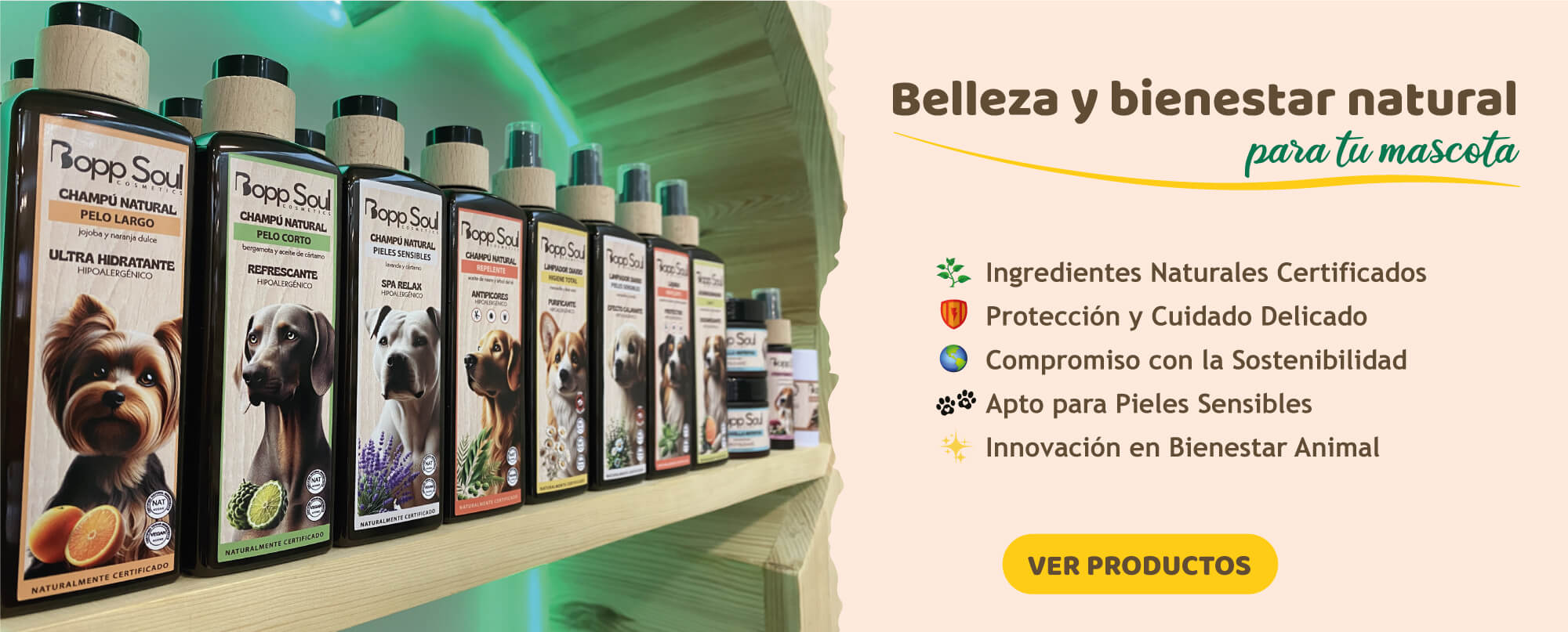 banner Bopp Soul