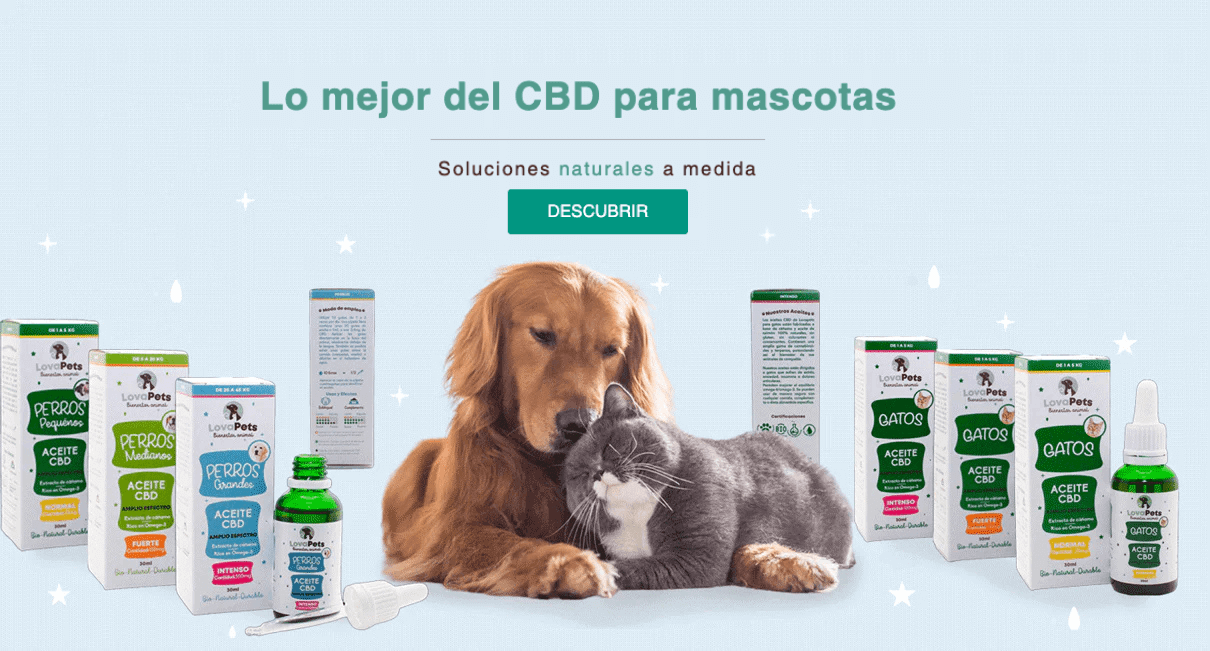 banner LovaPets
