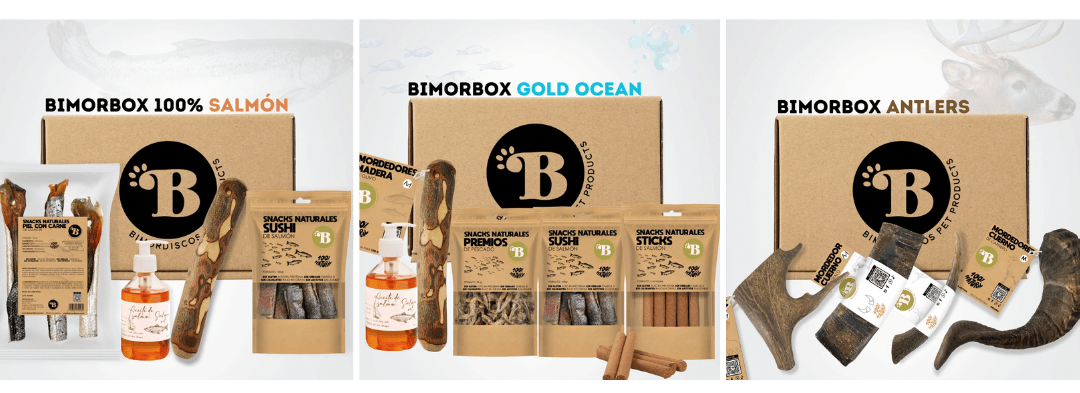 BIMORDISCOS banner