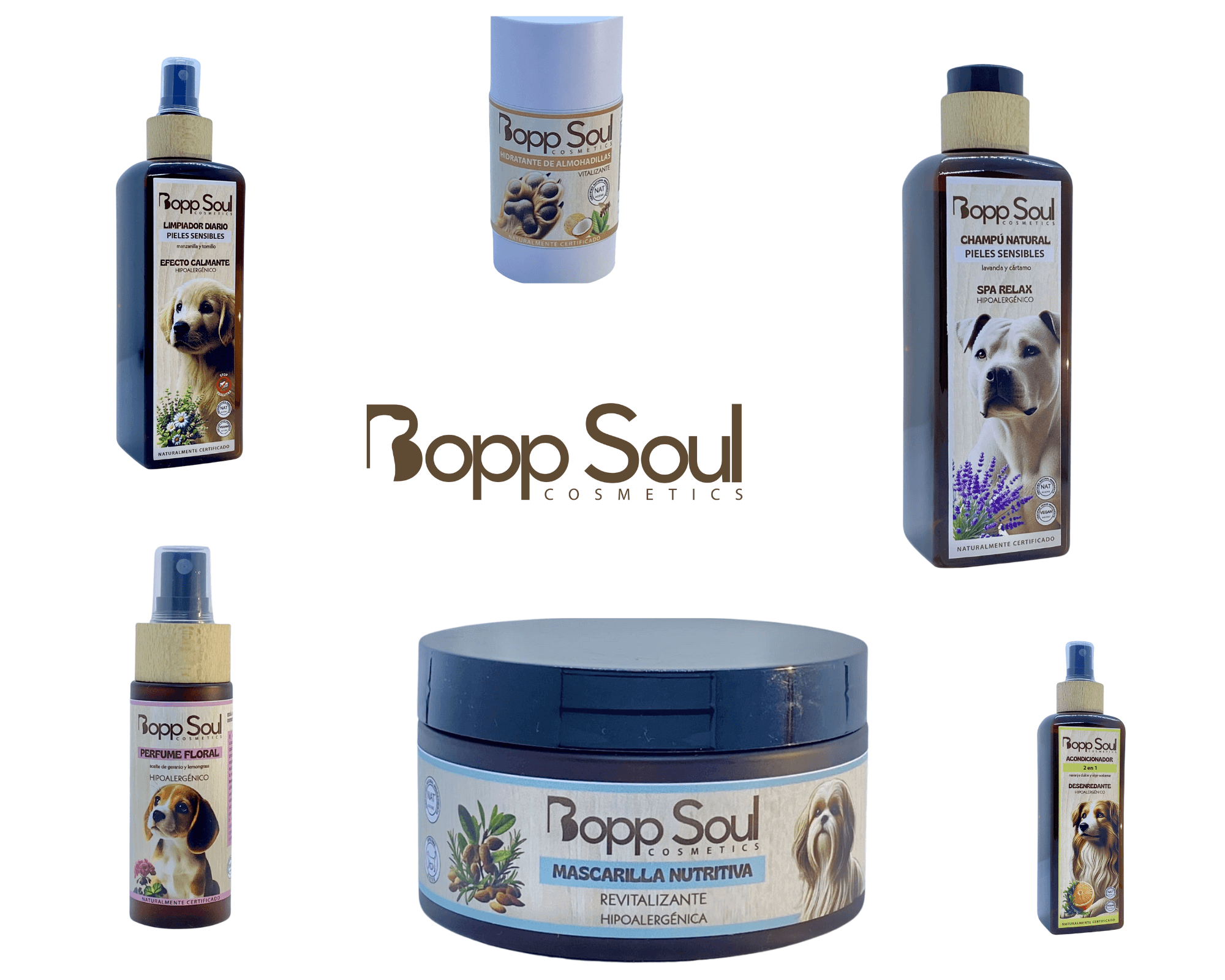 Bopp Soul banner