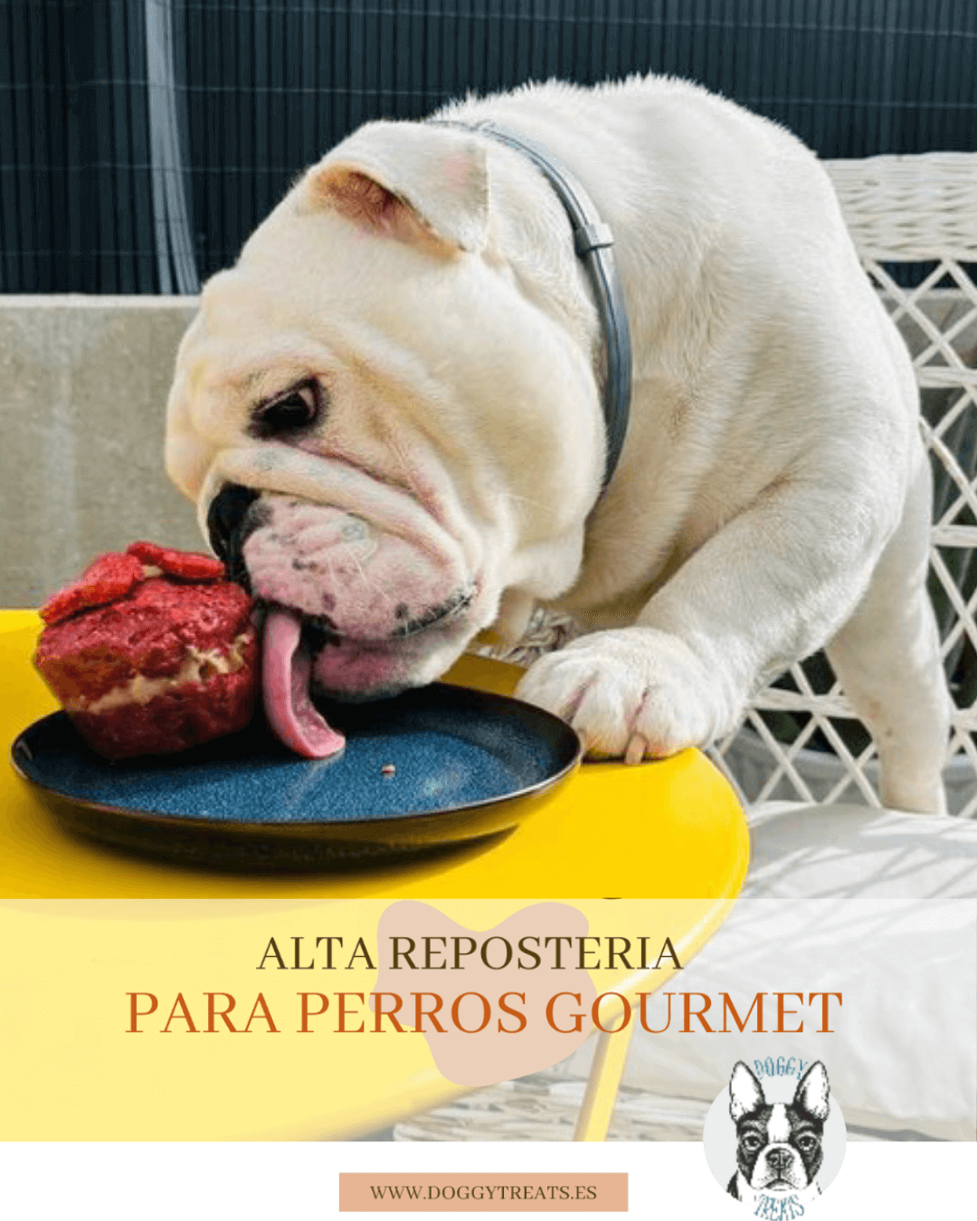 Doggy Treats banner