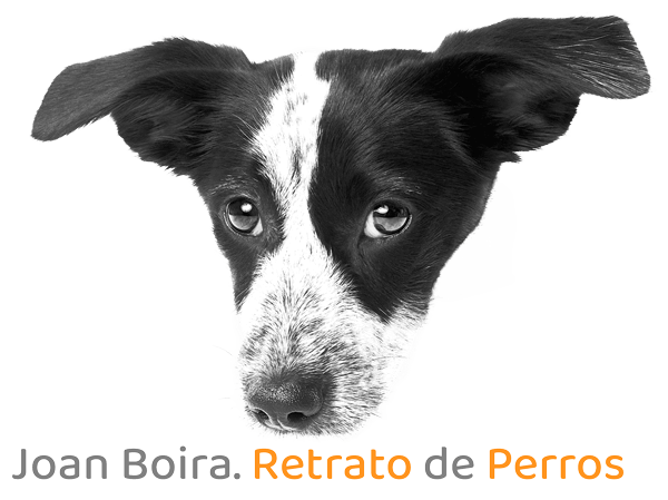 logotipo