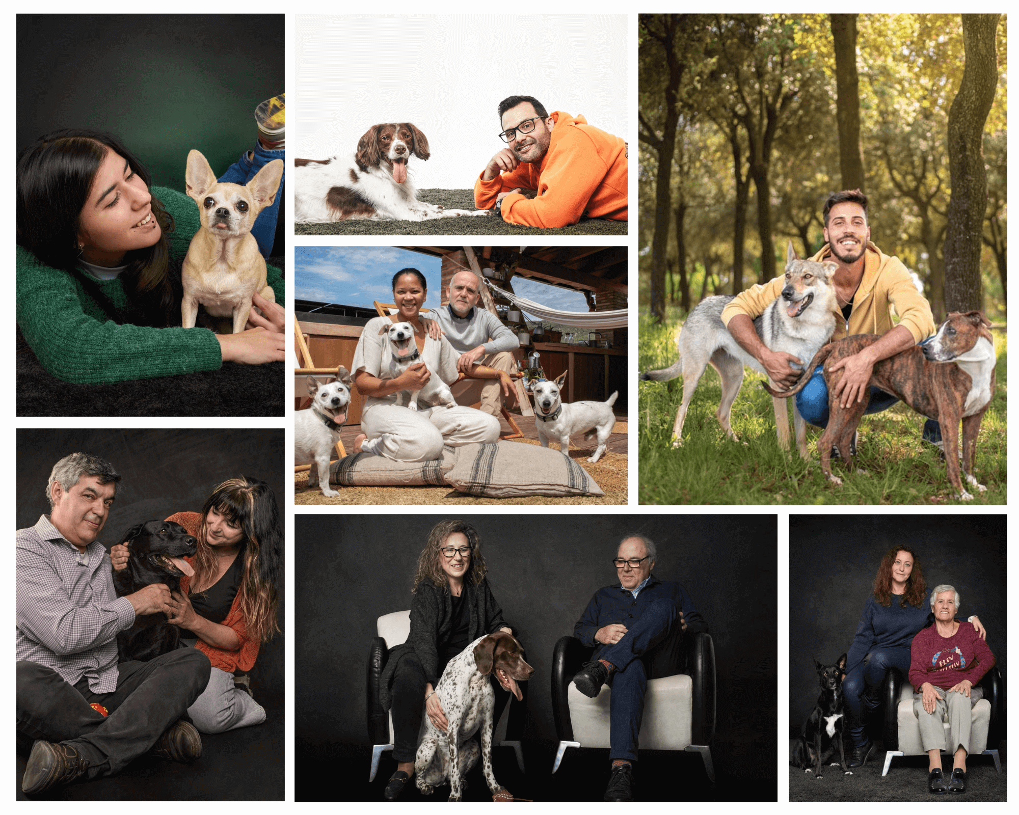 Joan Boira. Retrato de perros banner