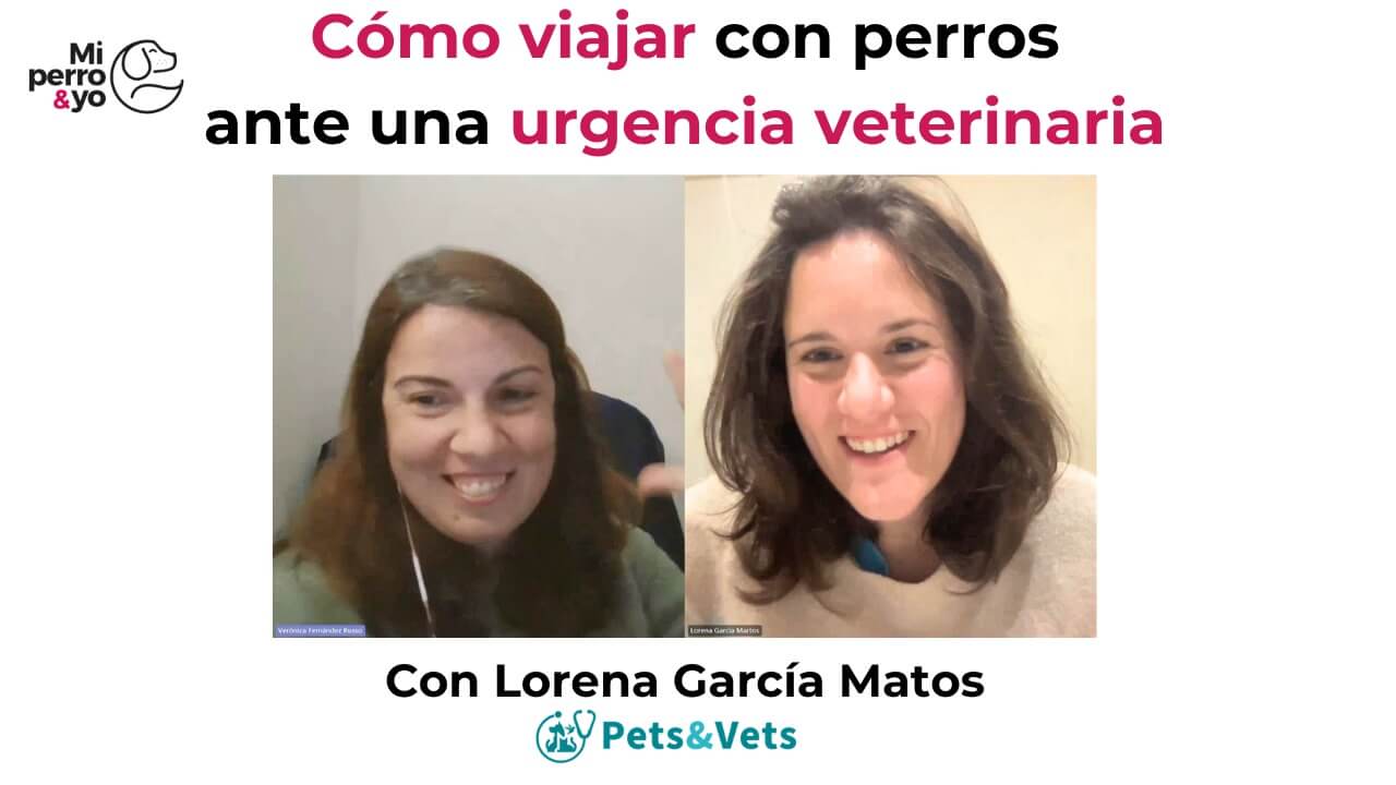 Las urgencias veterinarias NO ❌ avisan.
 Y es que como la mayoría ya sabréis, este proyecto nace a partir de la muerte 💔 de nuestro perro Peter y por eso en Pets & Vets tenemos el propósito de facilitar la búsqueda de vetes y profesionales en cualquier situación o lugar 🙌
