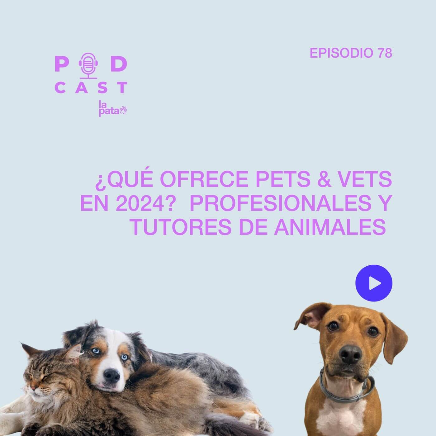 ¿Todavía no conocéis todo lo que hacemos en Pets & Vets?
Las chicas de la pata Marketing lo han resumido muy bien en este capítulo de su podcast, ¡no os lo perdáis!