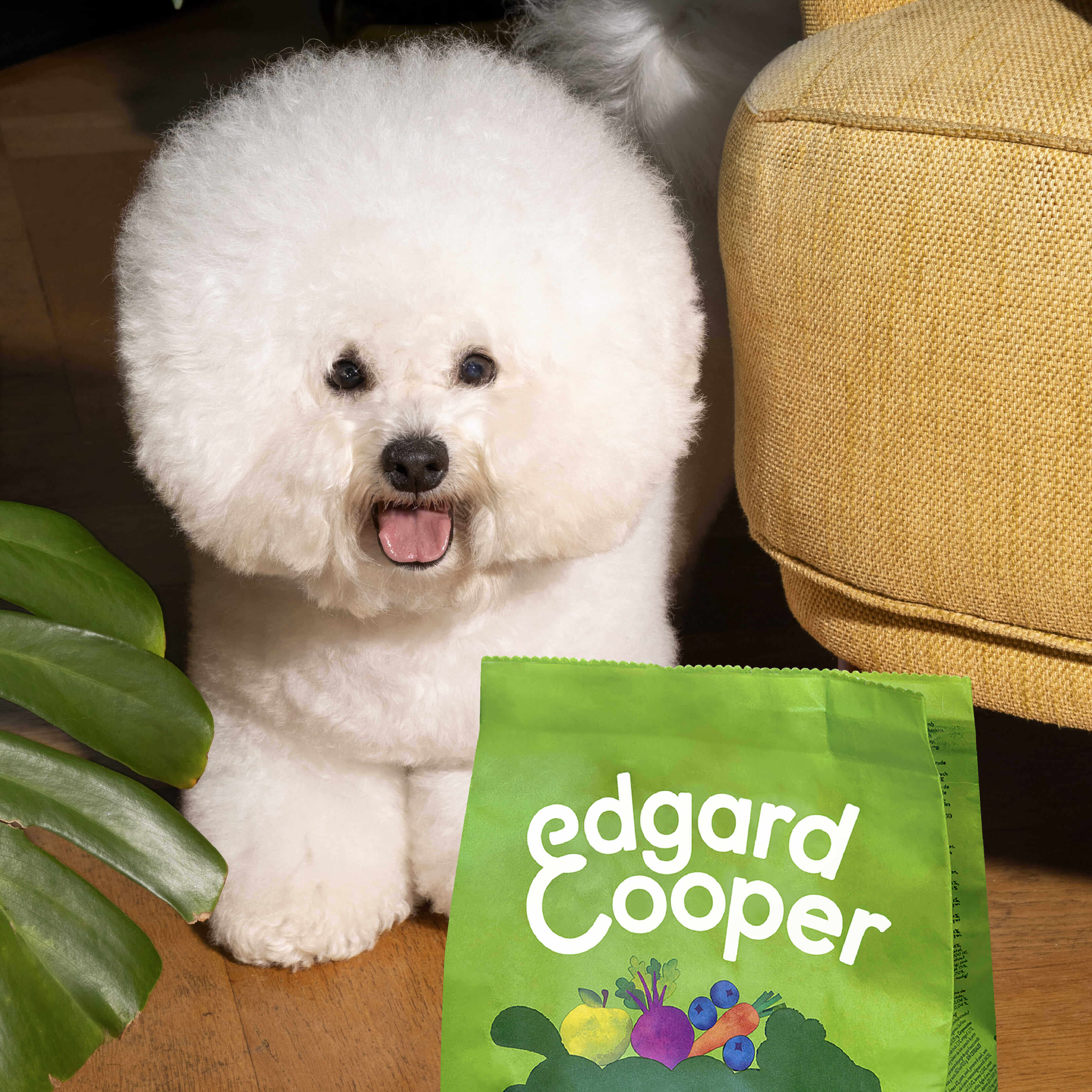 20% de descuento en tu primera compra