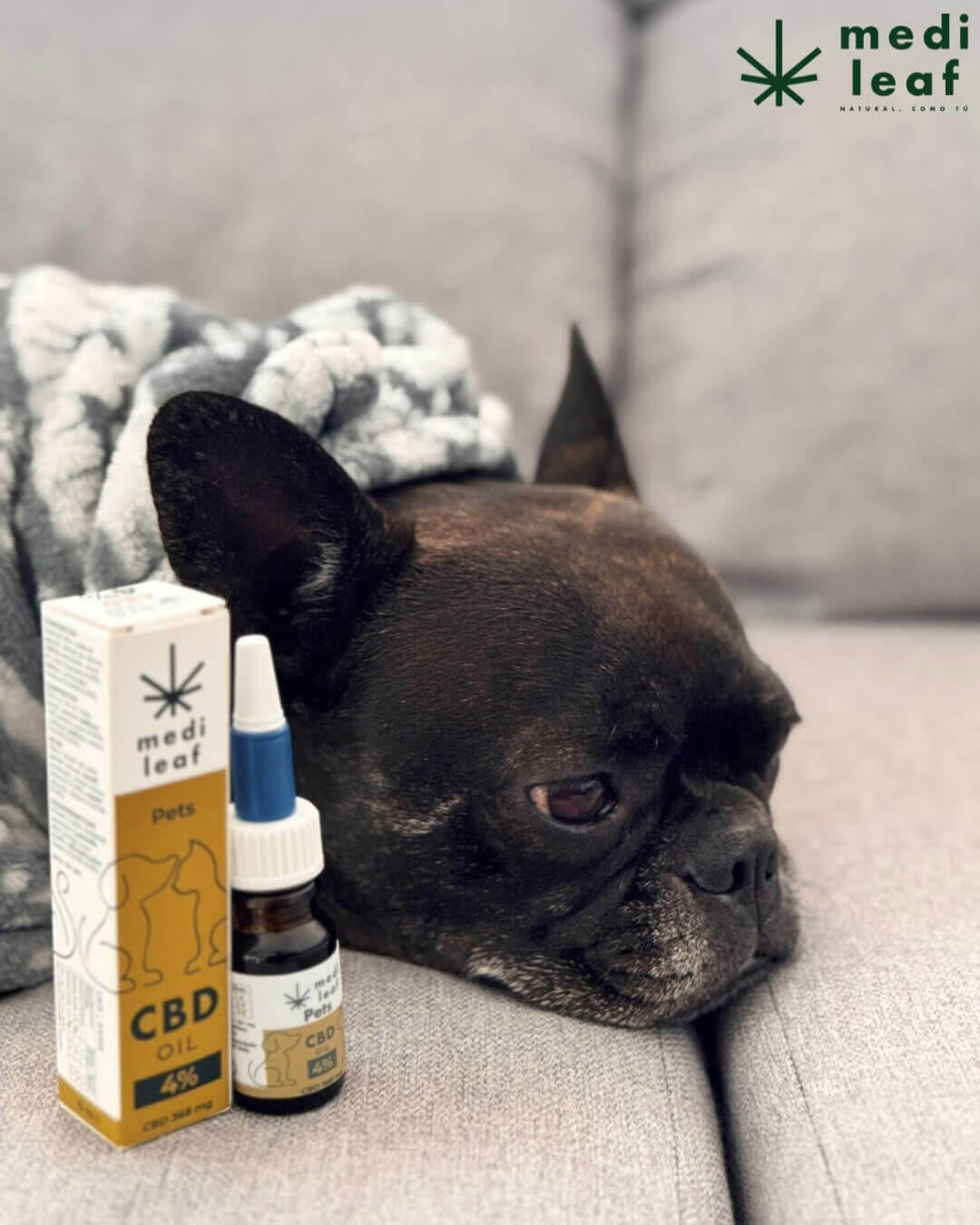 25% de descuento en todas tus compras: