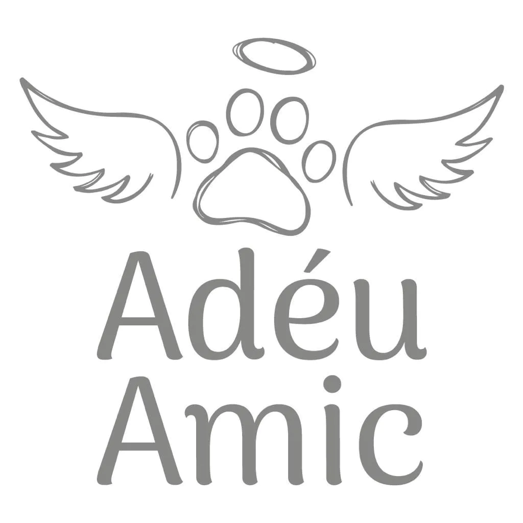 Adéu amic