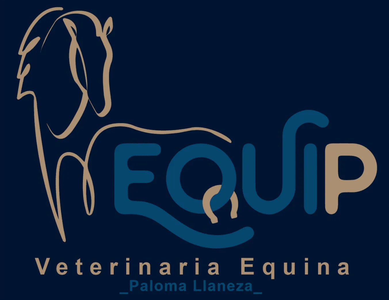 Equip Veterinaria Equina